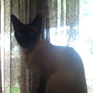 Meet your Posher, Mic